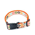 Dog Collar